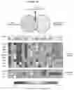 Fig. 19 - T CELL BALANCE GENE EXPRESSION, COMPOSITIONS OF MATTERS AND METHODS OF USE THEREOF