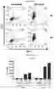 Fig. 47 - T CELL BALANCE GENE EXPRESSION, COMPOSITIONS OF MATTERS AND METHODS OF USE THEREOF
