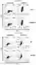 Fig. 48 - T CELL BALANCE GENE EXPRESSION, COMPOSITIONS OF MATTERS AND METHODS OF USE THEREOF