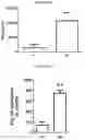 Fig. 60 - T CELL BALANCE GENE EXPRESSION, COMPOSITIONS OF MATTERS AND METHODS OF USE THEREOF