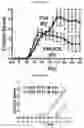 Fig. 65 - T CELL BALANCE GENE EXPRESSION, COMPOSITIONS OF MATTERS AND METHODS OF USE THEREOF