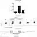 Fig. 67 - T CELL BALANCE GENE EXPRESSION, COMPOSITIONS OF MATTERS AND METHODS OF USE THEREOF