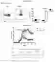 Fig. 69 - T CELL BALANCE GENE EXPRESSION, COMPOSITIONS OF MATTERS AND METHODS OF USE THEREOF