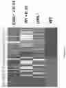 Fig. 72 - T CELL BALANCE GENE EXPRESSION, COMPOSITIONS OF MATTERS AND METHODS OF USE THEREOF