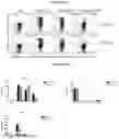 Fig. 77 - T CELL BALANCE GENE EXPRESSION, COMPOSITIONS OF MATTERS AND METHODS OF USE THEREOF