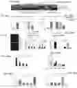 Fig. 82 - T CELL BALANCE GENE EXPRESSION, COMPOSITIONS OF MATTERS AND METHODS OF USE THEREOF