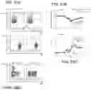 Fig. 87 - T CELL BALANCE GENE EXPRESSION, COMPOSITIONS OF MATTERS AND METHODS OF USE THEREOF