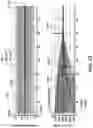 Fig. 26 - Regulation of coefficients used in magnetic field sensor virtual signal generation