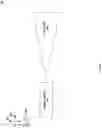 Fig. 19 - Spintronic accelerometer