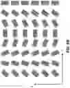 Fig. 13 - Ultrafast laser beam steering using frequency-arrayed optics