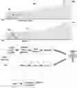 Fig. 01 - LADAR FOR MILITARY AND HARSH ENVIRONMENT USE