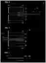 Fig. 06 - ANGULAR MAGNETIC FIELD SENSOR FOR A SCANNER