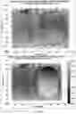 Fig. 30 - Ground time virtually referenced positioning and timing system