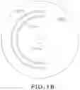 Fig. 03 - Concentric semi-circular split profiling for computed tomographic imaging of electronic beams