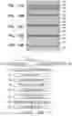 Fig. 07 - Integrated optical emitters and applications thereof