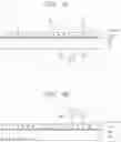 Fig. 12 - Optical member and display apparatus including the same