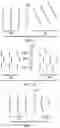 Fig. 09 - Optical display with spatial light modulator