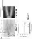 Fig. 04 - Compact photonic devices