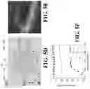 Fig. 08 - Compact photonic devices