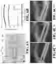 Fig. 09 - Compact photonic devices