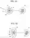 Fig. 08 - Round and small diameter optical cables with a ribbon-like optical fiber structure