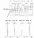 Fig. 06 - Objective optical system for endoscope, endoscope, and image pickup unit