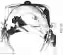 Fig. 13 - Methods and systems for fitting heads-up display to user