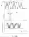 Fig. 16 - ILLUMINATING DEVICE, IMAGING SYSTEM, IMAGING SYSTEM INCLUDING THE ILLUMINATING DEVICE, ENDOSCOPE SYSTEM INCLUDING THE IMAGING SYSTEM, AND MICROSCOPE SYSTEM INCLUDING THE IMAGING SYSTEM