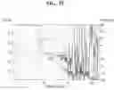 Fig. 29 - Lens moving apparatus
