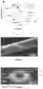 Fig. 03 - Photonic device