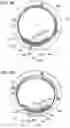 Fig. 11 - Imaging apparatus and accessory