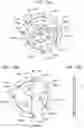 Fig. 15 - Imaging apparatus and accessory