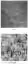 Fig. 05 - PRIMING A POLYMERIC PRINT SUBSTRATE