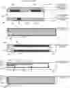 Fig. 01 - Image forming apparatus