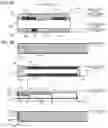 Fig. 04 - Image forming apparatus