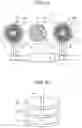 Fig. 10 - Electronic watch