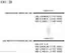 Fig. 19 - Operation plan creation device, operation plan creation system, operation plan creation method, and program