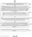 Fig. 76 - DEVICES, METHODS, AND GRAPHICAL USER INTERFACES FOR ACCESSIBILITY USING A TOUCH-SENSITIVE SURFACE