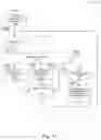 Fig. 12 - I/O device and computing host interoperation