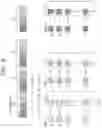 Fig. 09 - Multiply-accumulate operation device, multiply-accumulate operation methods, and systems