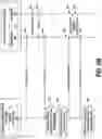 Fig. 09 - HIERARCHICAL, SYSTEM-INDEPENDENT INTERFACE LAYOUT DEFINITIONS FOR NATIVE MOBILE APPLICATIONS