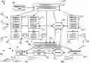Fig. 01 - Multi-layer QoS management in a distributed computing environment