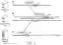 Fig. 05 - Self-contained files for generating a visualization of query results