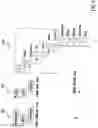 Fig. 02 - METHODS AND SYSTEMS FOR SEARCHING A DATABASE OF OBJECTS