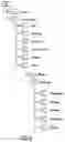 Fig. 03 - METHODS AND SYSTEMS FOR SEARCHING A DATABASE OF OBJECTS