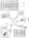 Fig. 02 - Computerized system for evaluating technology stability