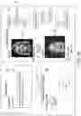 Fig. 14 - Facial images retrieval system