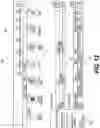 Fig. 17 - Document processing system and method