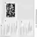 Fig. 13 - Method and apparatus for browsing information