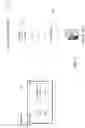 Fig. 07 - Systems and methods for improved remote display protocol for HTML applications